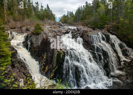 Multiple waterfalls of white rushing water falling over large rocks. There are tall green trees and shrubs on both sides of the river. Stock Photo