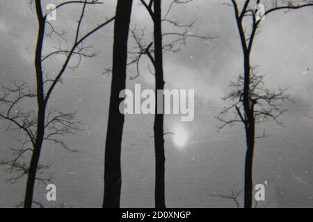 Fine 1970s vintage black and white photography of the sun shining thru dreary clouds in the deep woods. Stock Photo