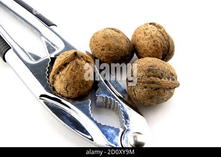 whole walnuts and nutcracker on white background close-up Stock Photo