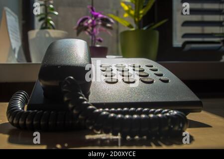 Black landline phone standing on wooden office desk in front of blurred window with sunlight falling from it, on windowsill of which are houseplants. Stock Photo