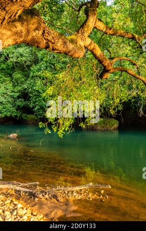 idyllic scenery at the Bhagwan Mahaveer Sanctuary and Mollem National ...