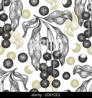 Hand drawn macadamia branch and kernels seamless pattern. Organic food vector illustration on white background. Vintage nut illustration. Engraved sty Stock Vector