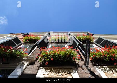 Upwards perspective view of traditional shuttered windows with overflowing window boxes of red geraniums. Stock Photo