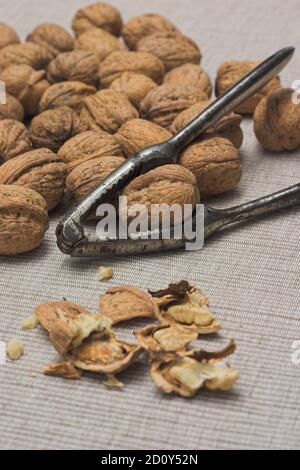 walnuts, nutcracker and cracked nuts on a light surface Stock Photo