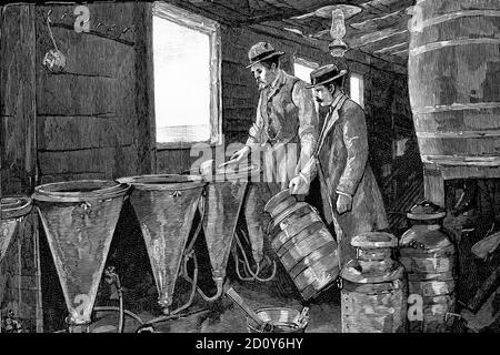 Canada. Preparing canned salmon. Antique illustration. 1886. Stock Photo