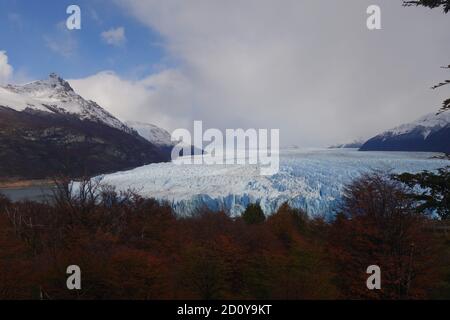 View of massive glacier field behind autumnal forest, Los Glaciares NP, Argentina Stock Photo