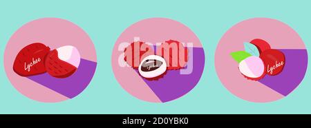 Exotic lychee fruit on a blue background in the format EPS Stock Vector
