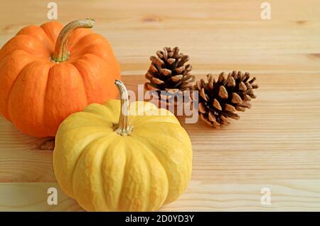 Pair of vibrant color ripe pumpkins with natural dry pine cones isolated on the wooden background Stock Photo