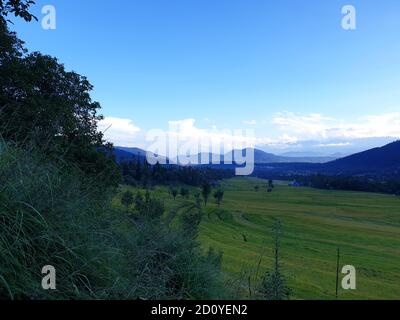 Paddy fields golden yellow and green. landscape nature huge beautiful hills and long green trees around. Green and yellow golden colour crops in India Stock Photo