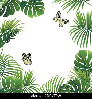 banner of tropical plants and butterflies on a white background Stock Vector