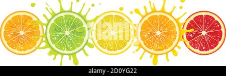 banner with citrus fruits on a white background Stock Vector