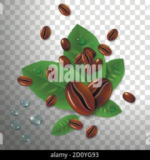 coffee beans with green coffee leaves on a transparent background Stock Vector