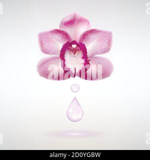 fragrant orchid flower with a drop of essential oil on a light background Stock Vector