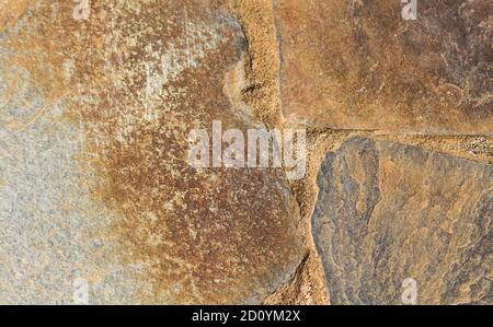 track from textured brown  sandstone, Background Stock Photo