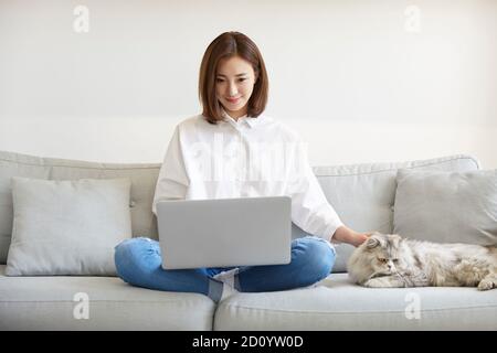 young asian businesswoman working at home using laptop computer while caressing pet cat Stock Photo