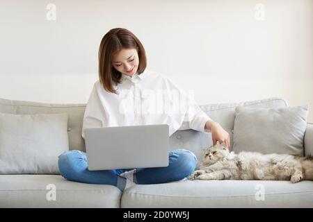 young asian businesswoman working at home using laptop computer while caressing pet cat Stock Photo