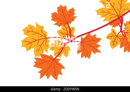 autumn leaves set, isolated on white background. simple cartoon flat style, vector illustration Stock Vector