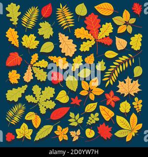 autumn leaves set, isolated on white background. simple cartoon flat style, vector illustration Stock Vector