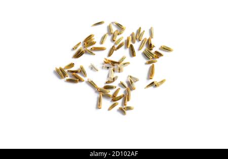 daisy seeds from the common flower  ready to sow  isolated on white Stock Photo