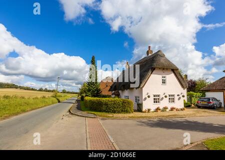 A thatched pink cottage on a rural country lane by open fields in Great Bedwyn, a village in east Wiltshire, southern England Stock Photo