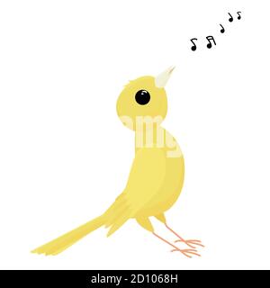 Singing canary isolated on white background. Vector illustration of a pet. Cartoon yellow bird Stock Vector