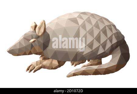 Beautiful low poly illustration with armadillo on white background Stock Vector