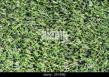Green artificial grass texture background Stock Photo