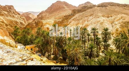 Mountain oasis Chebika in Sahara desert. Tunisia Stock Photo