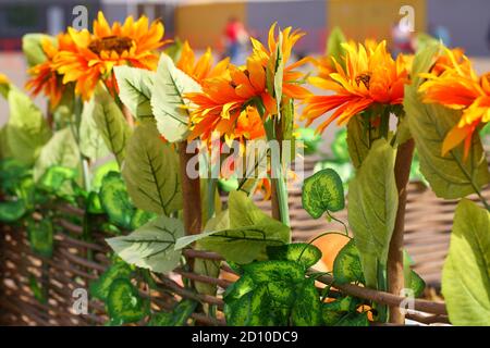 Decorative sunflowers in a floor vase Stock Photo