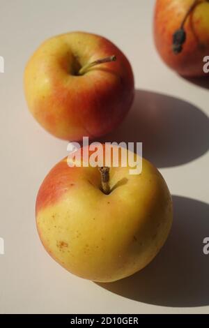 Three ripe yellow orange apples on a white sunny table. Stock Photo