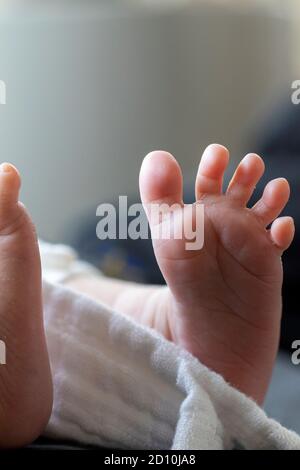 A close up portrait of the bottom of a baby foot. The newborn child is stretiching and opening its tiny cute toes revealing its small footprint to the Stock Photo