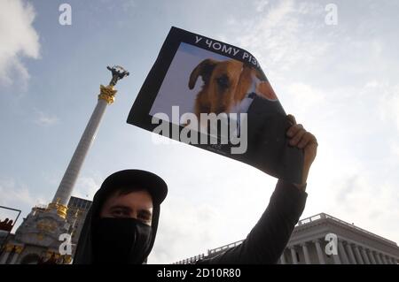 Animal Rights Protest Sign Cows A protester holding a placard with pictures of a dog and a cow, during ...