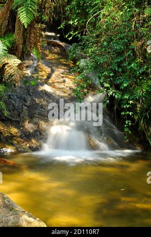 Cachoeira no Horto Florestal de Campos do Jordão, São Paulo Stock Photo