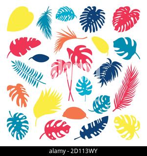Tropical leaves collection. Vector isolated elements on the white background. Stock Vector