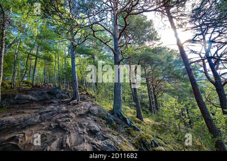 Rampestreken in Andalsnes, Norway. A famous tourist track and viewpoint. Stock Photo