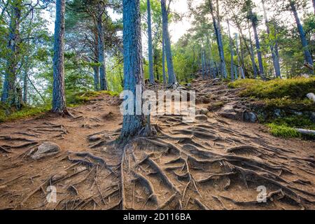 Rampestreken in Andalsnes, Norway. A famous tourist track and viewpoint. Stock Photo