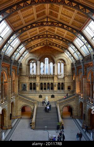 Central hall of the Natural History Museum, South Kensington, London, UK Stock Photo