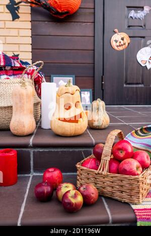 Group of ripe halloween pumpkins, heap of apples in basket and other stuff Stock Photo