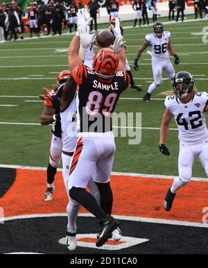 Cincinnati Bengals tight end Drew Sample (89) lines up for a play