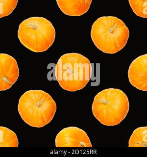 Seamless pattern with pumpkin. Autumn abstract seamless pattern made from Pumpkins on the black background. Pumpkin quality pattern. Stock Photo