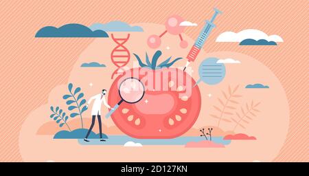 Genetic modification as food GMO unnatural modification tiny person concept. Biotechnology as product improvement with chemical DNA structure change v Stock Vector