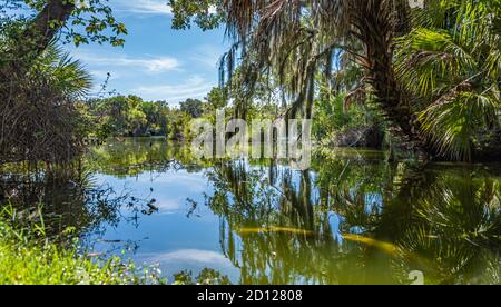 Scenic Florida landscape at Kathryn Abbey Hanna Park, an oceanfront park in Jacksonville, Florida. (USA) Stock Photo