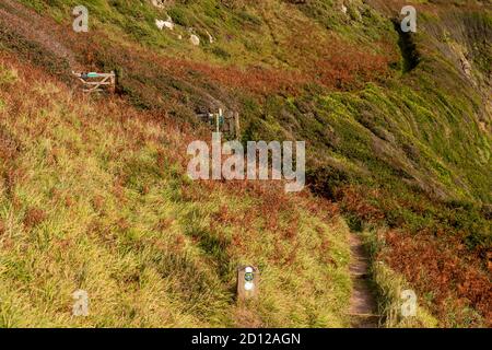 Anglesey coastal path at Church Bay, North Wales Stock Photo