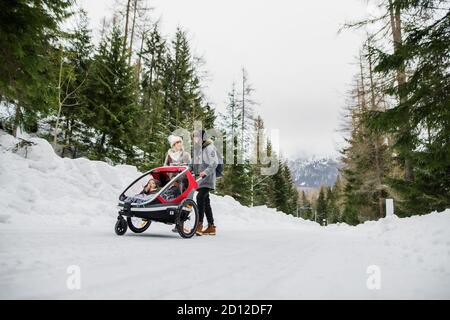 Father and mother with two small children in trailer in winter nature, walking in the snow. Stock Photo