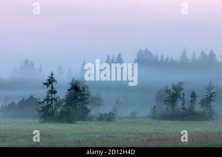 geography / travel, Germany, Bavaria, Sachsenkam, sea of fog near Sachsenkam, Upper Bavaria, Additional-Rights-Clearance-Info-Not-Available Stock Photo