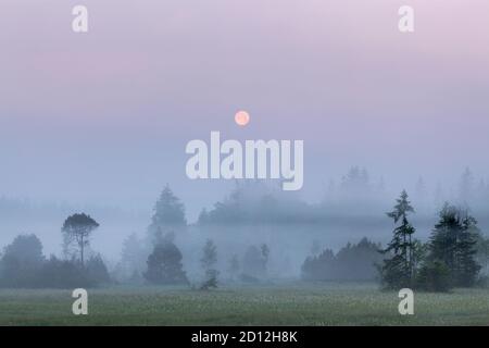 geography / travel, Germany, Bavaria, Sachsenkam, sea of fog near Sachsenkam, Upper Bavaria, Additional-Rights-Clearance-Info-Not-Available Stock Photo