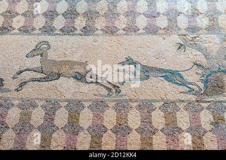 A hunting scene mosaic showing a dog chasing deer in the House of Dionysus, Paphos Archaeological park, Paphos, Cyprus. Stock Photo