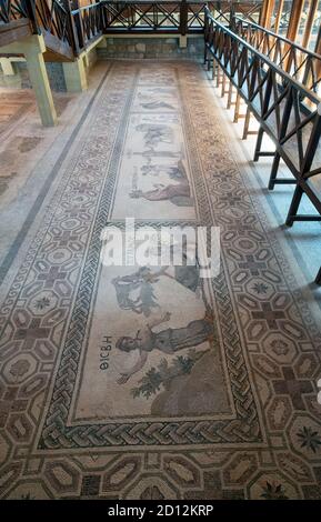 House of Dionysos, Paphos: Room 16 four panel mosaic consisting of Pyramos & Thisbe, Dionysos, Acme & Icarios, Poseidon & Amymone and Apollo & Daphne. Stock Photo