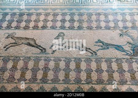 A hunting scene mosaic showing a dog chasing deer in the House of Dionysus, Paphos Archaeological park, Paphos, Cyprus. Stock Photo