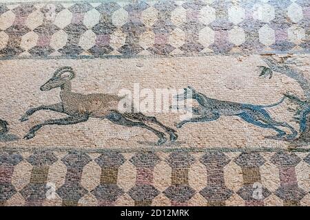 A hunting scene mosaic showing a dog chasing deer in the House of Dionysus, Paphos Archaeological park, Paphos, Cyprus. Stock Photo